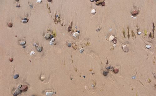 sand stones beach