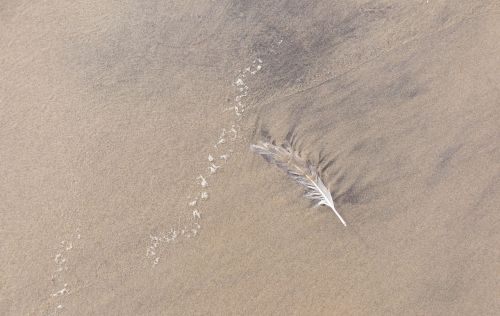 sand feather beach