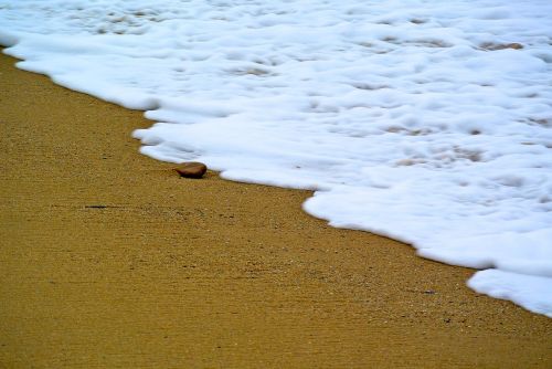 sand beach california