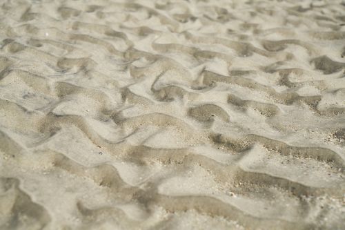 sand beach a grain of sand
