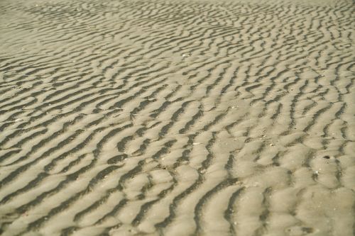 sand beach texture