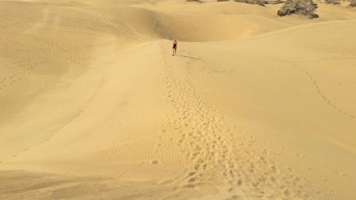 sand desert beach