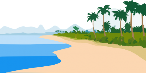 sand beach palm