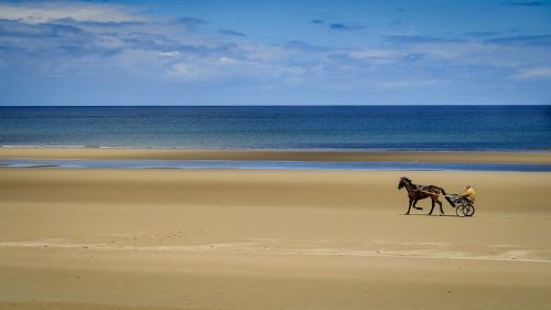 sand beach body of water