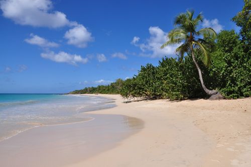 sand beach tropical