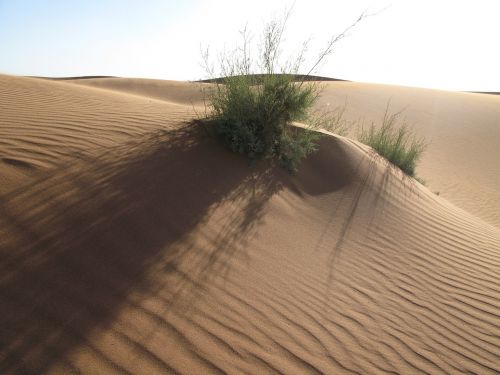 sand desert dry