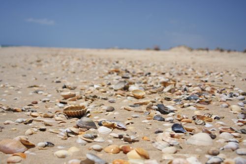 sand beach nature