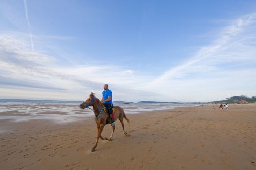 sand beach sea