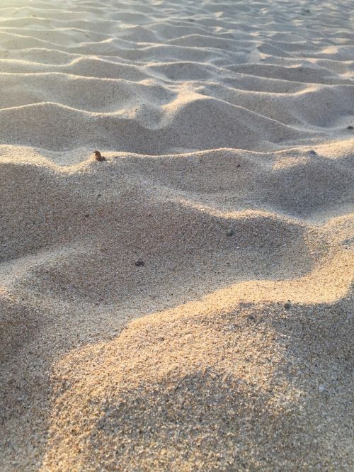 sand beach seashore