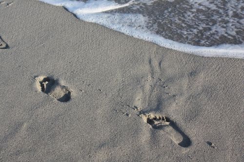 sand beach footprint