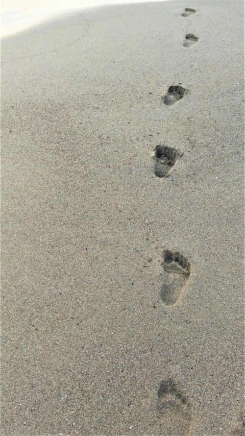 sand  beach  footprint