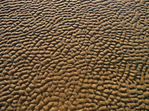 sand  beach  pattern