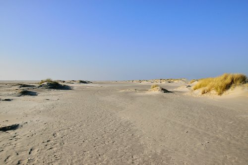 sand  desert  nature
