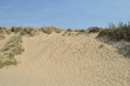 sand  desert  nature