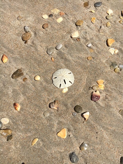 sand  beach  seashore