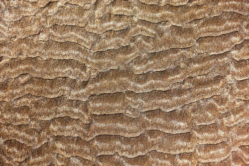 sand  ripple  texture