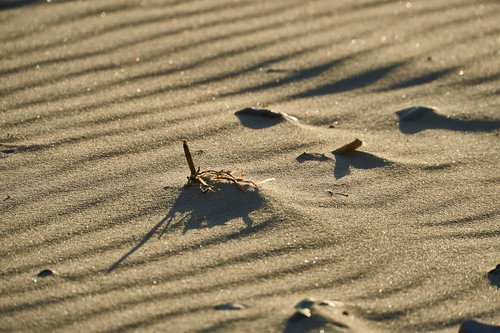 sand  sea  wind