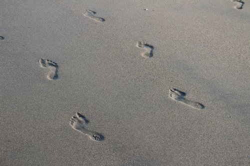 sand  not  feet