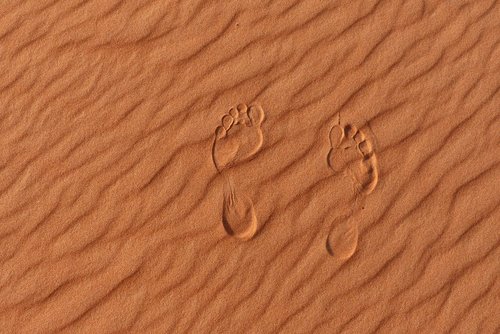 sand  dunes  feet