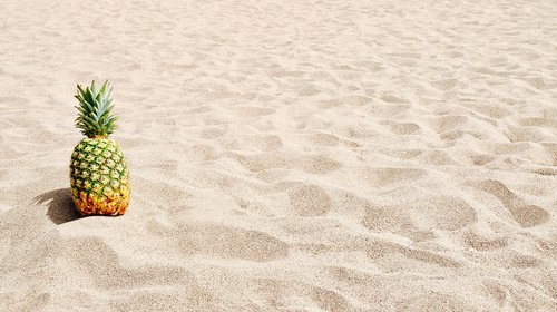 sand  pineapple  beach