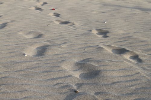 sand  footprints  walk