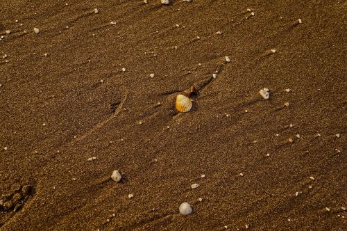 sand beach coastal