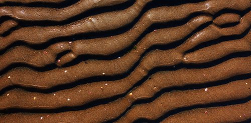 sand  mud  brown