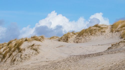 sand  beach  dune