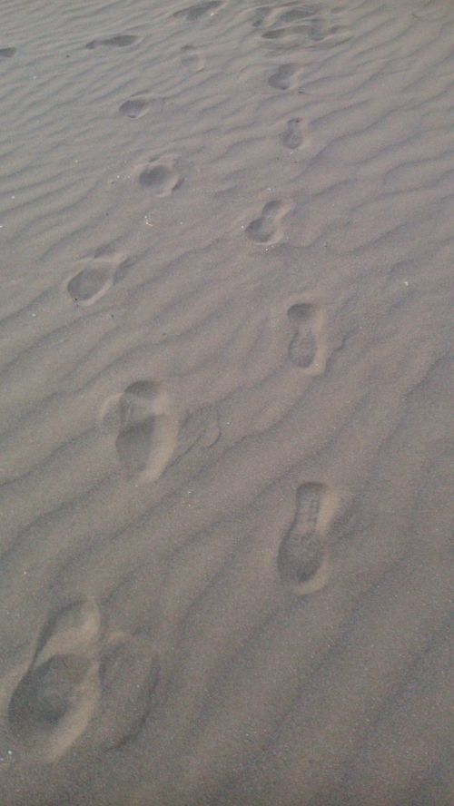 sand beach walk