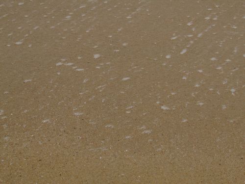 sand beach sandy