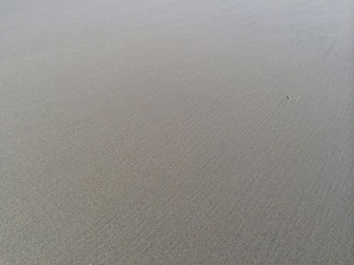 sand beach coast