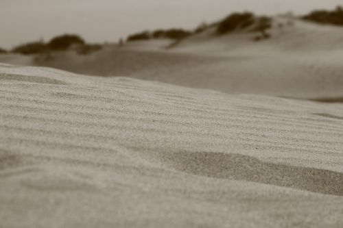 sand desert dune