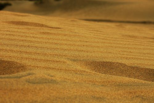 sand grit desert