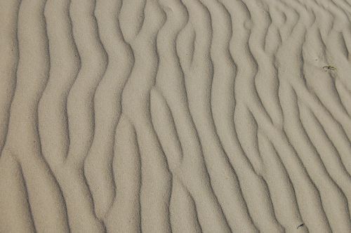 sand ripple beach