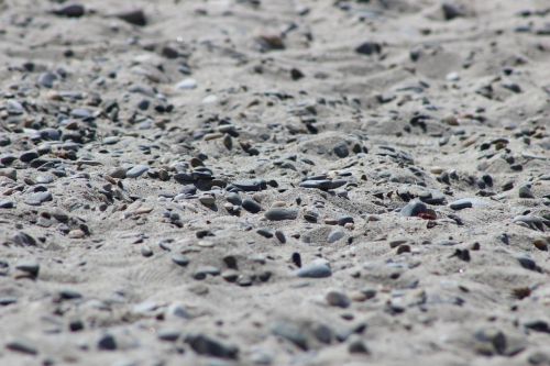sand stones beach