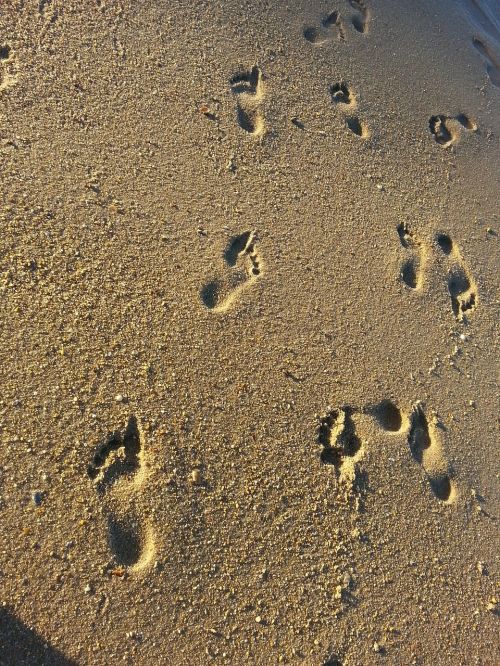 sand footprints mar