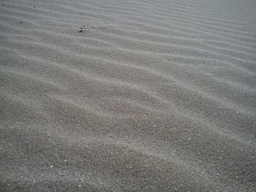 sand dunes gone with the wind