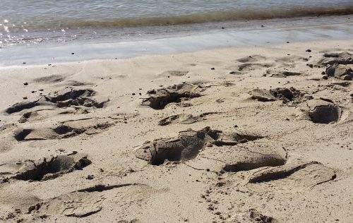 sand beach traces