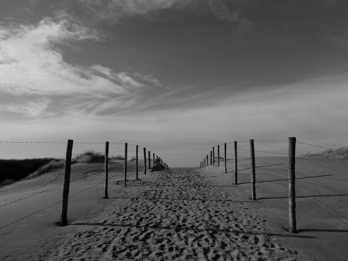 sand dune nature