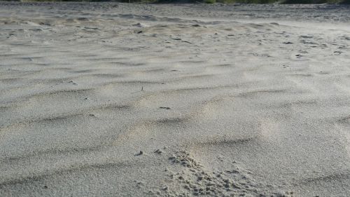 sand beach wind