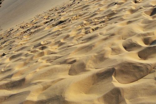 sand texture beach