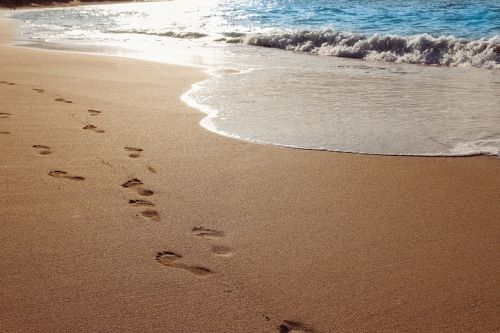 sand beach ocean