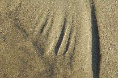 sand design beach