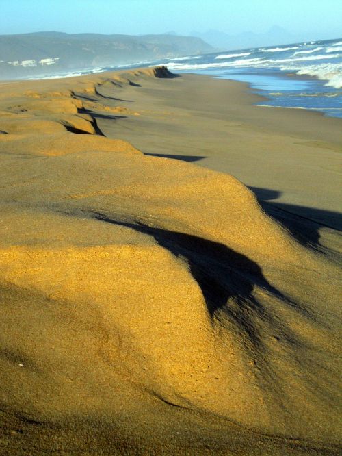 sand beach s africa