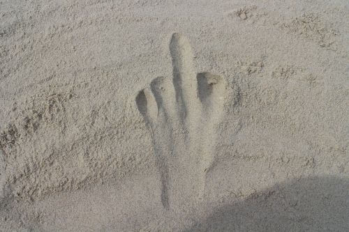 sand beach hand