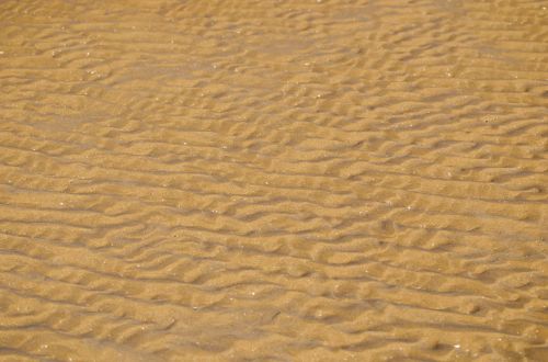Sand Background