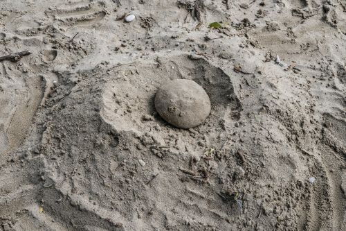 sand ball beach play