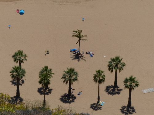 sand beach beach palm trees