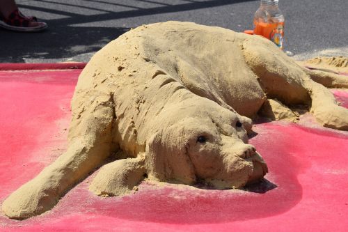 sand dog sand dog