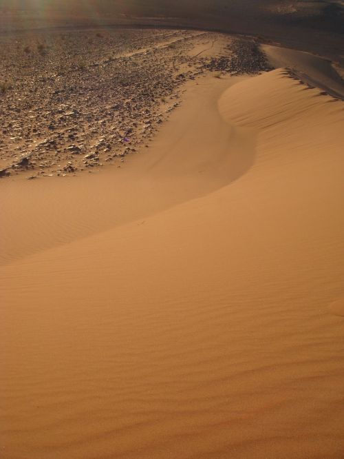 sand dune sahara desert